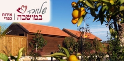 שלווה במושבה